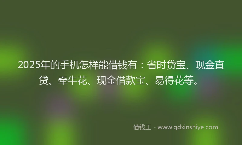 2025年的手机怎样能借钱有：省时贷宝、现金直贷、牵牛花、现金借款宝、易得花等。