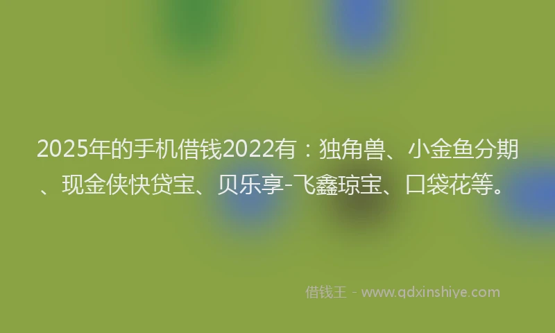 2025年的手机借钱2022有：独角兽、小金鱼分期、现金侠快贷宝、贝乐享-飞鑫琼宝、口袋花等。