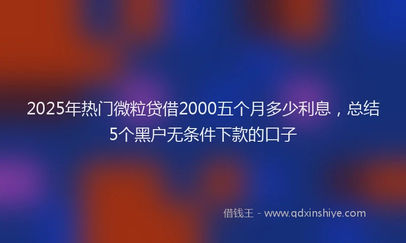 2025年热门微粒贷借2000五个月多少利息，总结5个黑户无条件下款的口子