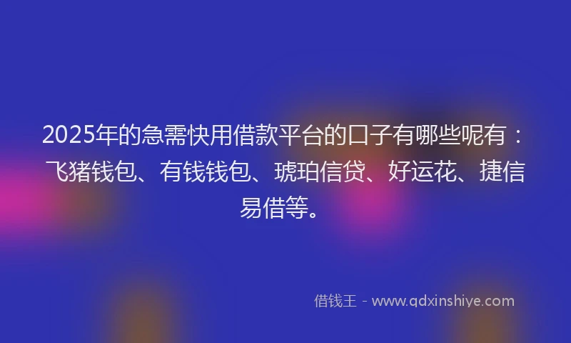 2025年的急需快用借款平台的口子有哪些呢有：飞猪钱包、有钱钱包、琥珀信贷、好运花、捷信易借等。