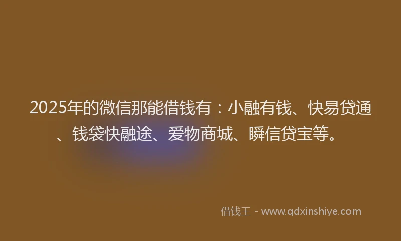 2025年的微信那能借钱有：小融有钱、快易贷通、钱袋快融途、爱物商城、瞬信贷宝等。
