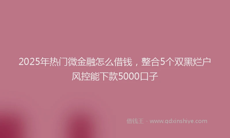 2025年热门微金融怎么借钱，整合5个双黑烂户风控能下款5000口子