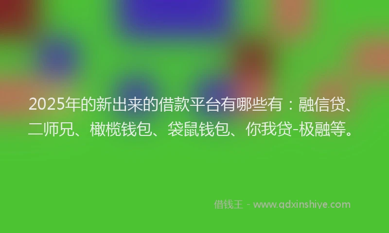 2025年的新出来的借款平台有哪些有：融信贷、二师兄、橄榄钱包、袋鼠钱包、你我贷-极融等。