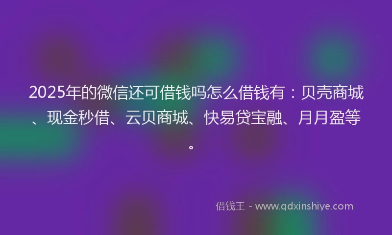 2025年的微信还可借钱吗怎么借钱有：贝壳商城、现金秒借、云贝商城、快易贷宝融、月月盈等。
