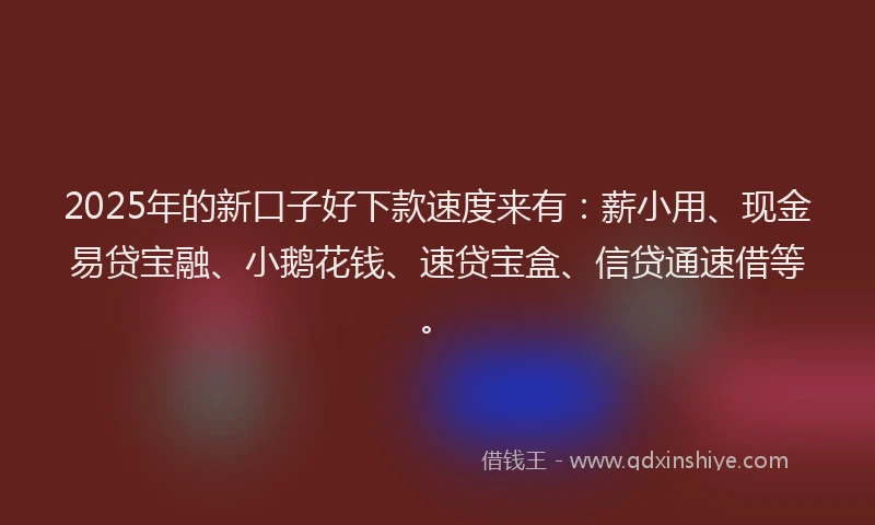 2025年的新口子好下款速度来有：薪小用、现金易贷宝融、小鹅花钱、速贷宝盒、信贷通速借等。