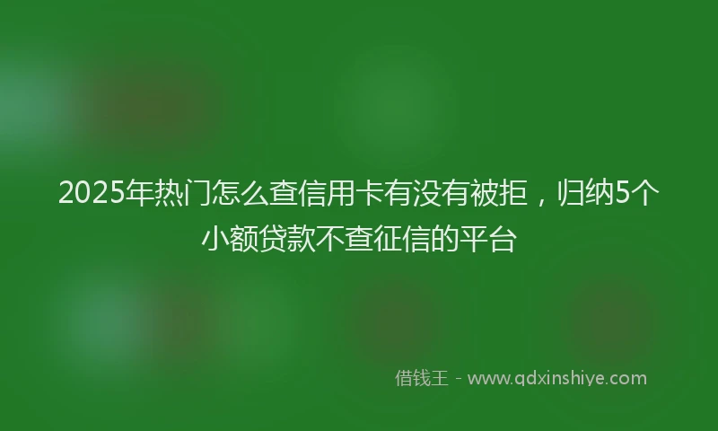 2025年热门怎么查信用卡有没有被拒，归纳5个小额贷款不查征信的平台