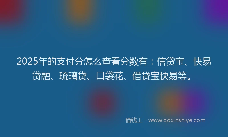 2025年的支付分怎么查看分数有：信贷宝、快易贷融、琉璃贷、口袋花、借贷宝快易等。