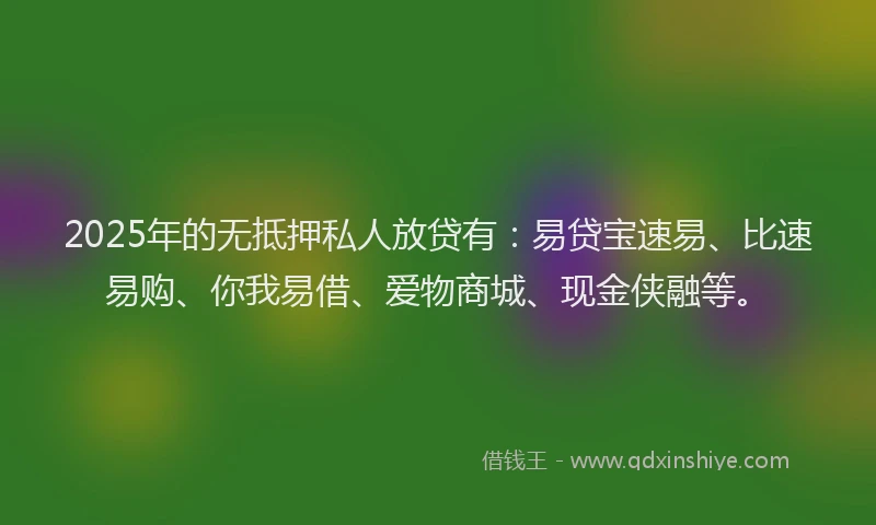 2025年的无抵押私人放贷有：易贷宝速易、比速易购、你我易借、爱物商城、现金侠融等。