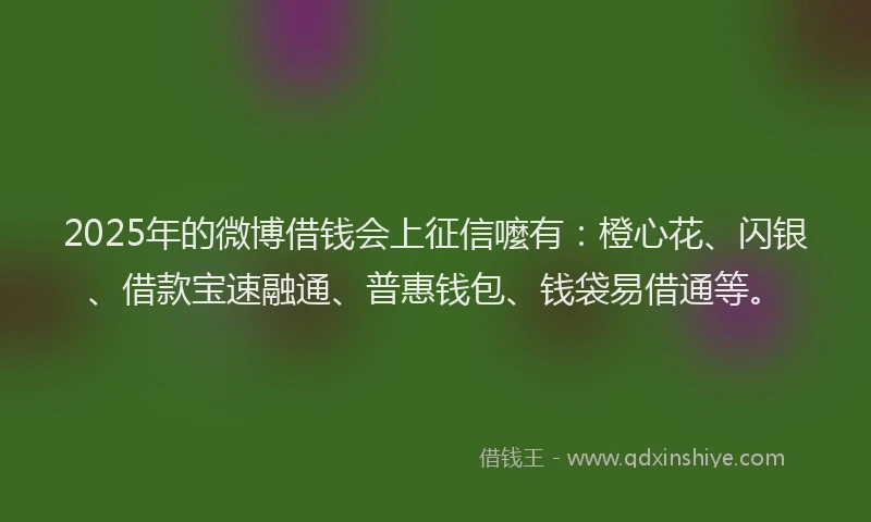 2025年的微博借钱会上征信嚒有：橙心花、闪银、借款宝速融通、普惠钱包、钱袋易借通等。