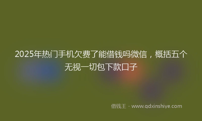 2025年热门手机欠费了能借钱吗微信，概括五个无视一切包下款口子