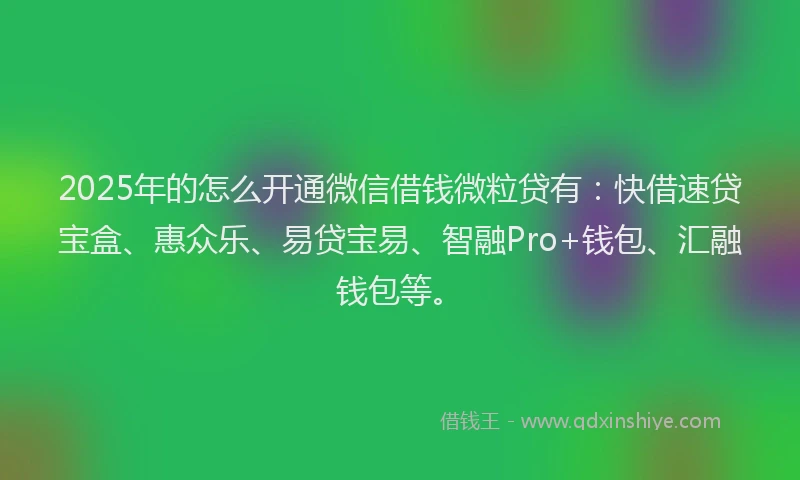 2025年的怎么开通微信借钱微粒贷有：快借速贷宝盒、惠众乐、易贷宝易、智融Pro+钱包、汇融钱包等。