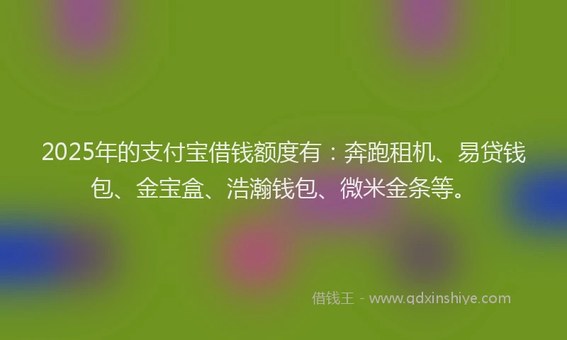 2025年的支付宝借钱额度有：奔跑租机、易贷钱包、金宝盒、浩瀚钱包、微米金条等。