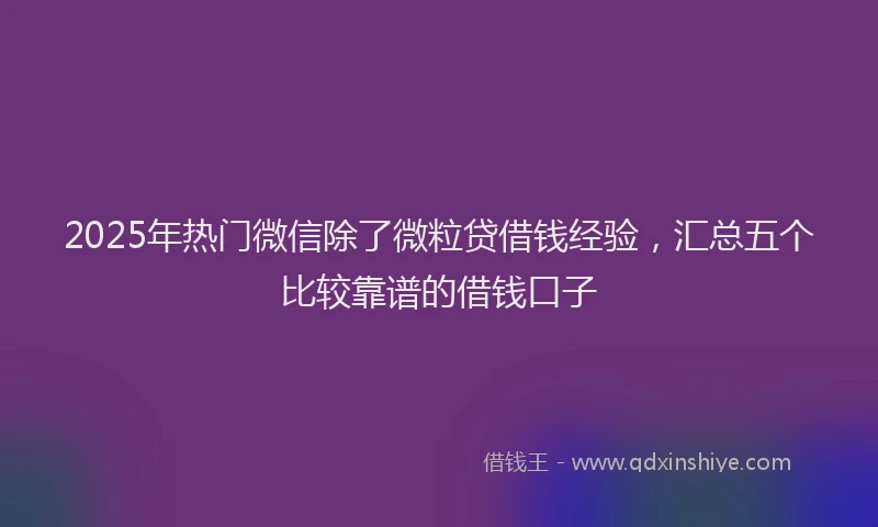 2025年热门微信除了微粒贷借钱经验，汇总五个比较靠谱的借钱口子