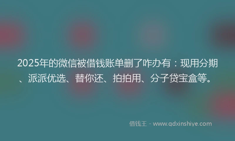 2025年的微信被借钱账单删了咋办有：现用分期、派派优选、替你还、拍拍用、分子贷宝盒等。
