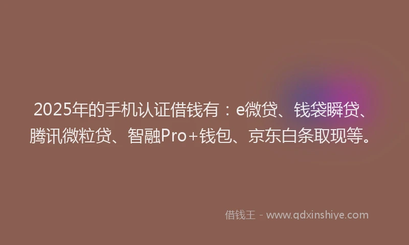 2025年的手机认证借钱有：e微贷、钱袋瞬贷、腾讯微粒贷、智融Pro+钱包、京东白条取现等。