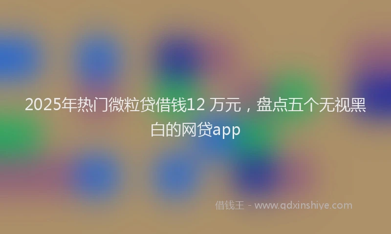 2025年热门微粒贷借钱12 万元，盘点五个无视黑白的网贷app