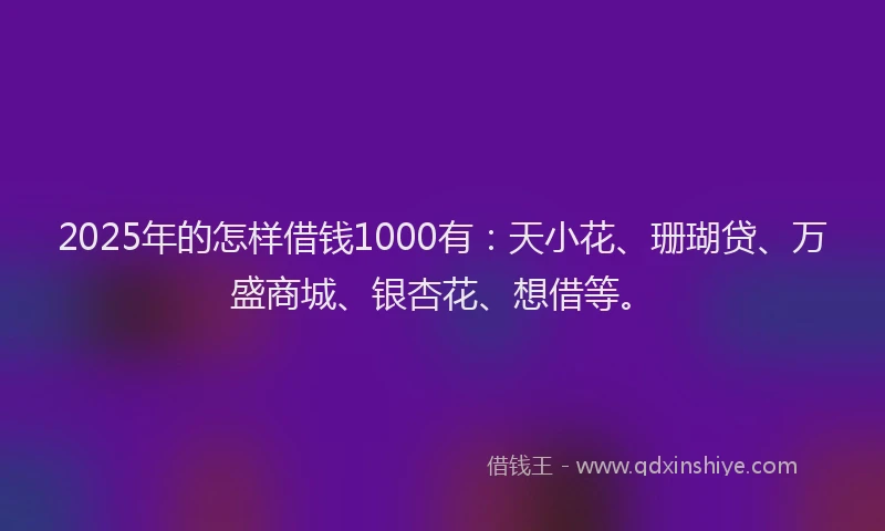 2025年的怎样借钱1000有：天小花、珊瑚贷、万盛商城、银杏花、想借等。