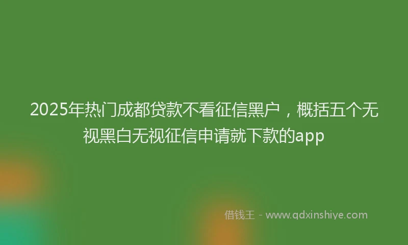 2025年热门成都贷款不看征信黑户，概括五个无视黑白无视征信申请就下款的app