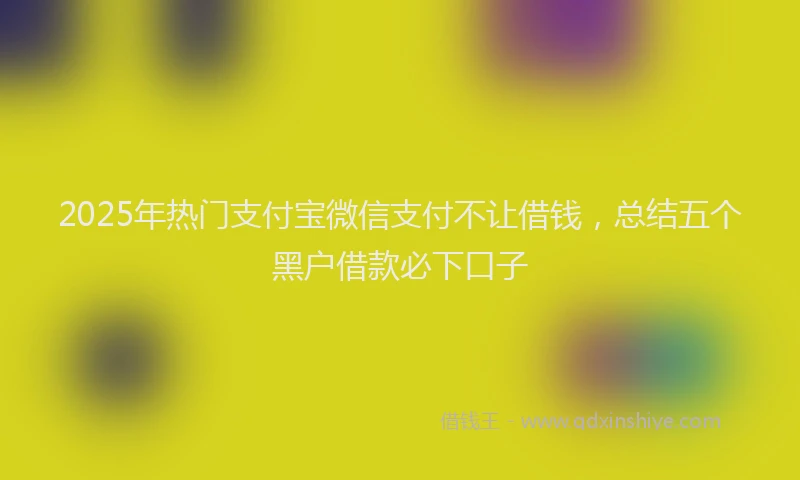 2025年热门支付宝微信支付不让借钱，总结五个黑户借款必下口子