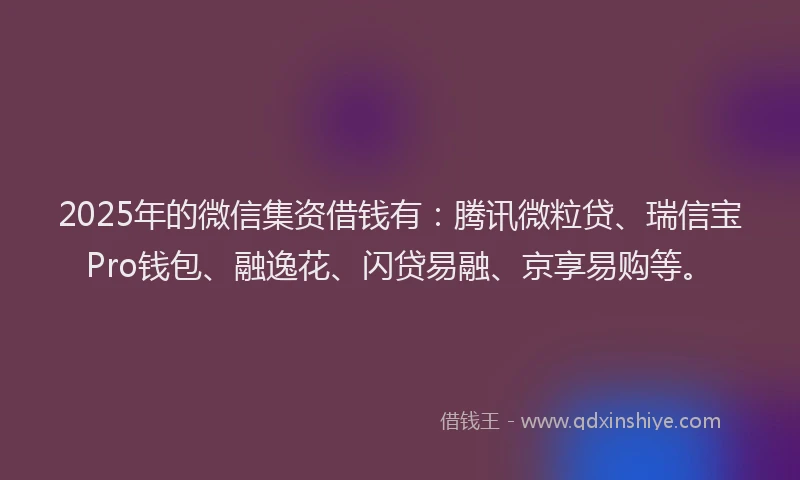 2025年的微信集资借钱有：腾讯微粒贷、瑞信宝Pro钱包、融逸花、闪贷易融、京享易购等。