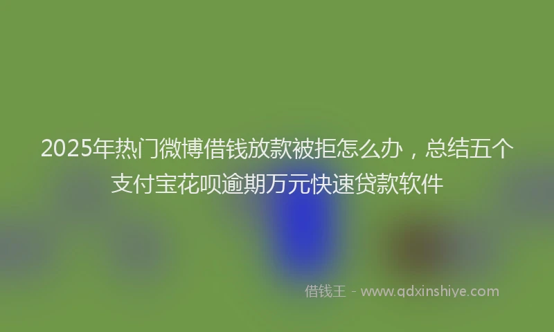 2025年热门微博借钱放款被拒怎么办，总结五个支付宝花呗逾期万元快速贷款软件