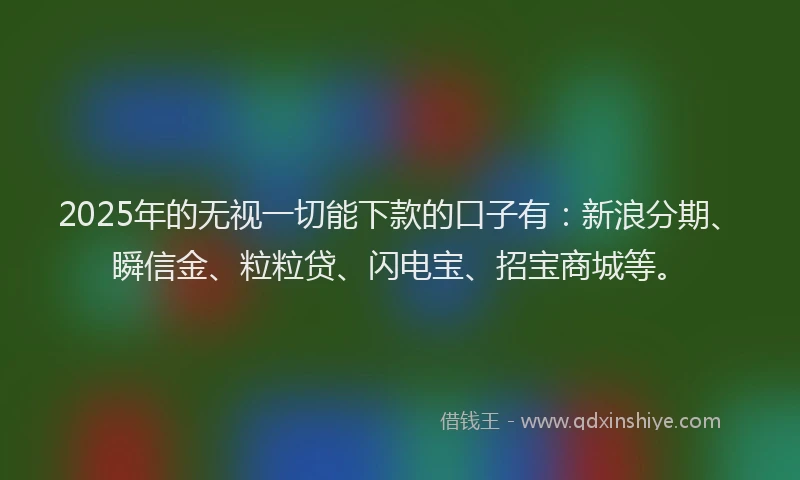 2025年的无视一切能下款的口子有：新浪分期、瞬信金、粒粒贷、闪电宝、招宝商城等。