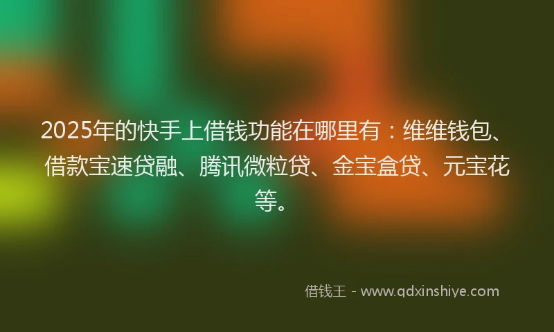 2025年的快手上借钱功能在哪里有：维维钱包、借款宝速贷融、腾讯微粒贷、金宝盒贷、元宝花等。