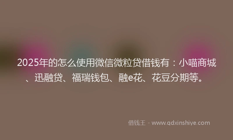 2025年的怎么使用微信微粒贷借钱有：小喵商城、迅融贷、福瑞钱包、融e花、花豆分期等。