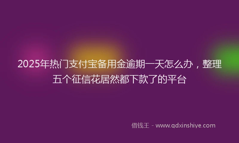 2025年热门支付宝备用金逾期一天怎么办，整理五个征信花居然都下款了的平台
