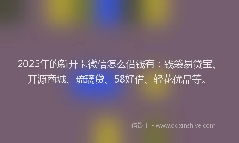 2025年的新开卡微信怎么借钱有：钱袋易贷宝、开源商城、琉璃贷、58好借、轻花优品等。