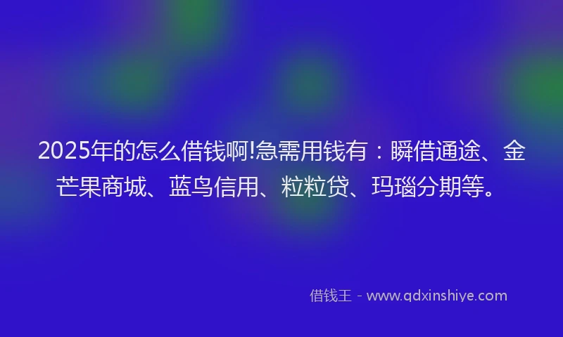 2025年的怎么借钱啊!急需用钱有：瞬借通途、金芒果商城、蓝鸟信用、粒粒贷、玛瑙分期等。