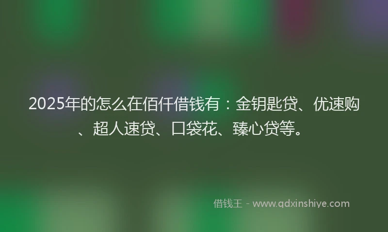 2025年的怎么在佰仟借钱有：金钥匙贷、优速购、超人速贷、口袋花、臻心贷等。