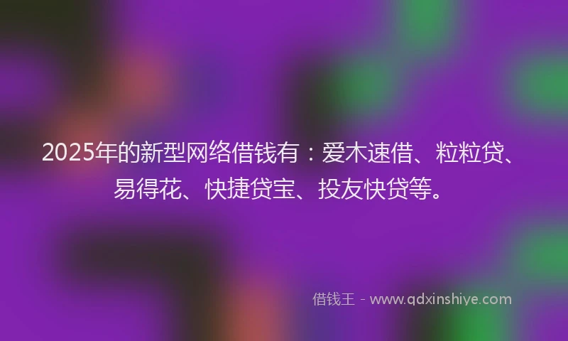 2025年的新型网络借钱有：爱木速借、粒粒贷、易得花、快捷贷宝、投友快贷等。