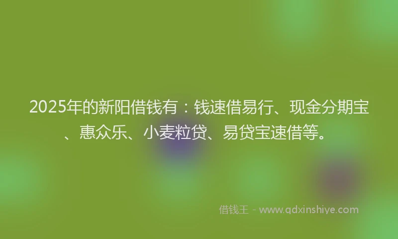 2025年的新阳借钱有：钱速借易行、现金分期宝、惠众乐、小麦粒贷、易贷宝速借等。