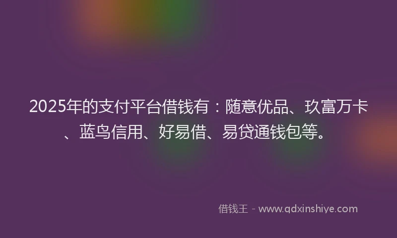 2025年的支付平台借钱有：随意优品、玖富万卡、蓝鸟信用、好易借、易贷通钱包等。