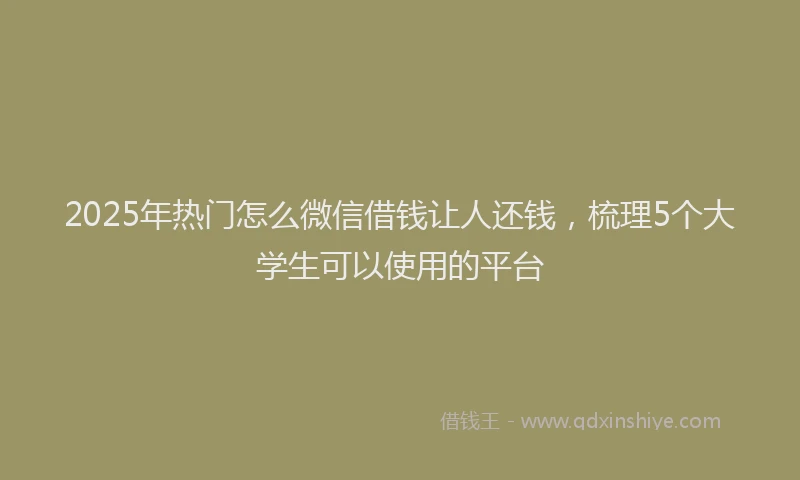 2025年热门怎么微信借钱让人还钱，梳理5个大学生可以使用的平台