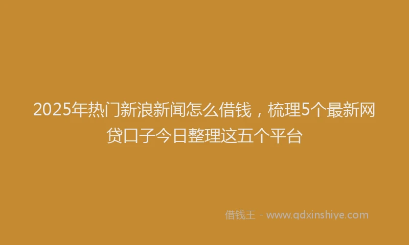 2025年热门新浪新闻怎么借钱，梳理5个最新网贷口子今日整理这五个平台