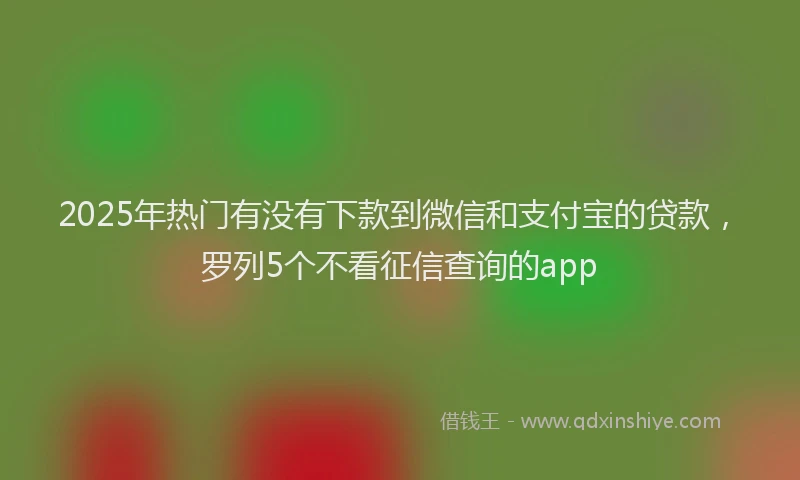 2025年热门有没有下款到微信和支付宝的贷款，罗列5个不看征信查询的app