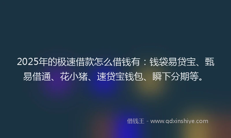 2025年的极速借款怎么借钱有：钱袋易贷宝、甄易借通、花小猪、速贷宝钱包、瞬下分期等。