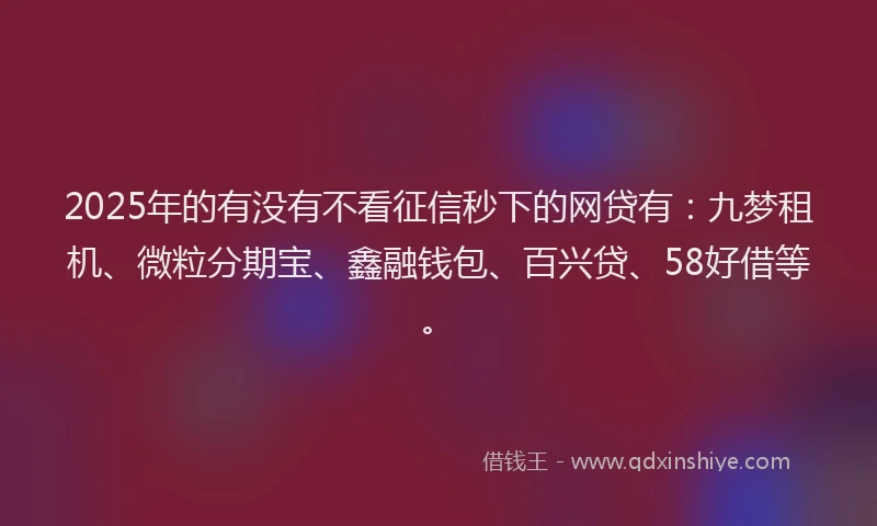 2025年的有没有不看征信秒下的网贷有：九梦租机、微粒分期宝、鑫融钱包、百兴贷、58好借等。