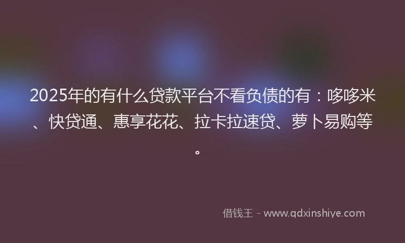 2025年的有什么贷款平台不看负债的有：哆哆米、快贷通、惠享花花、拉卡拉速贷、萝卜易购等。
