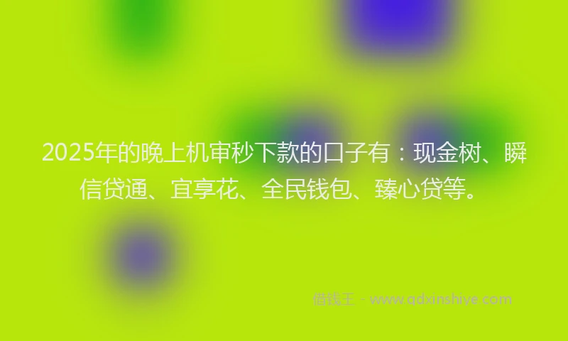 2025年的晚上机审秒下款的口子有：现金树、瞬信贷通、宜享花、全民钱包、臻心贷等。
