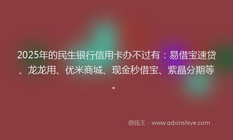 2025年的民生银行信用卡办不过有：易借宝速贷、龙龙用、优米商城、现金秒借宝、紫晶分期等。