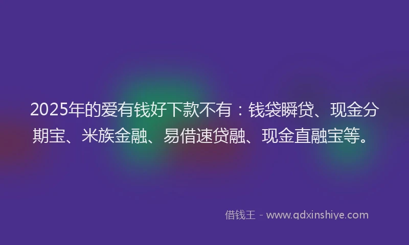 2025年的爱有钱好下款不有：钱袋瞬贷、现金分期宝、米族金融、易借速贷融、现金直融宝等。
