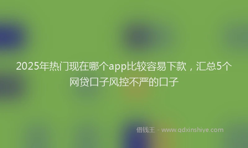 2025年热门现在哪个app比较容易下款，汇总5个网贷口子风控不严的口子