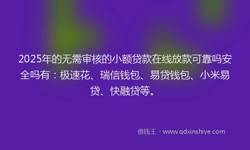2025年的无需审核的小额贷款在线放款可靠吗安全吗有：极速花、瑞信钱包、易贷钱包、小米易贷、快融贷等。