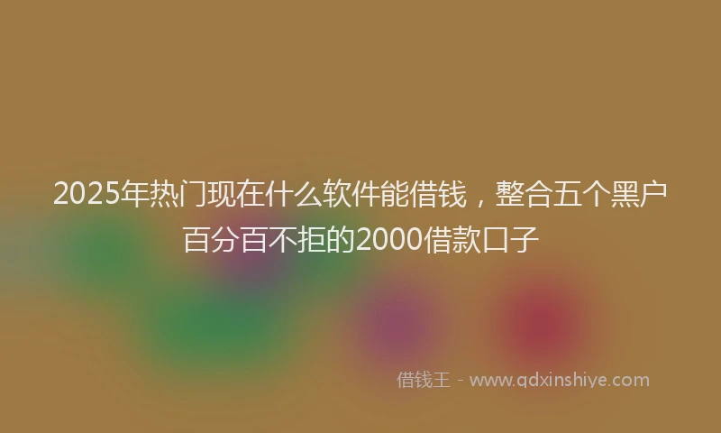 2025年热门现在什么软件能借钱，整合五个黑户百分百不拒的2000借款口子