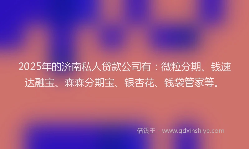 2025年的济南私人贷款公司有：微粒分期、钱速达融宝、森森分期宝、银杏花、钱袋管家等。