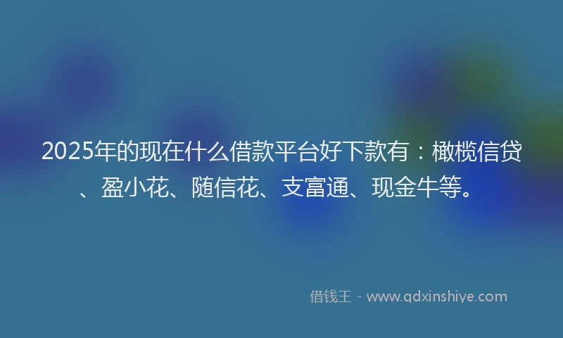 2025年的现在什么借款平台好下款有：橄榄信贷、盈小花、随信花、支富通、现金牛等。