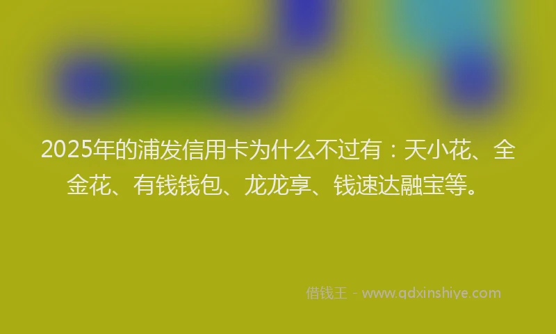 2025年的浦发信用卡为什么不过有：天小花、全金花、有钱钱包、龙龙享、钱速达融宝等。